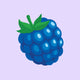Framboise bleue